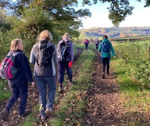 Guided Walk, circular 8 miles , Moderate grade, Talgarth