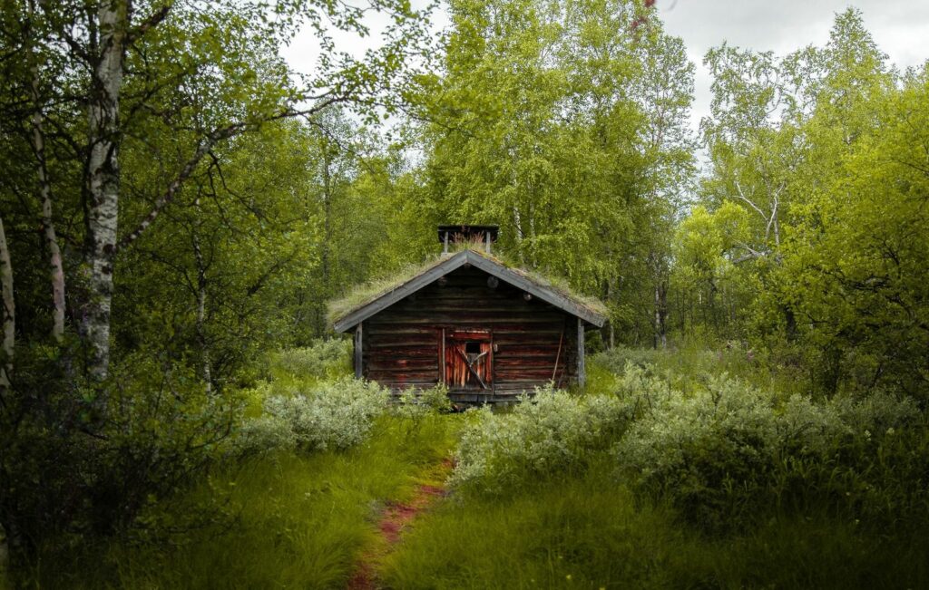 Log Cabins in the Wye Valley