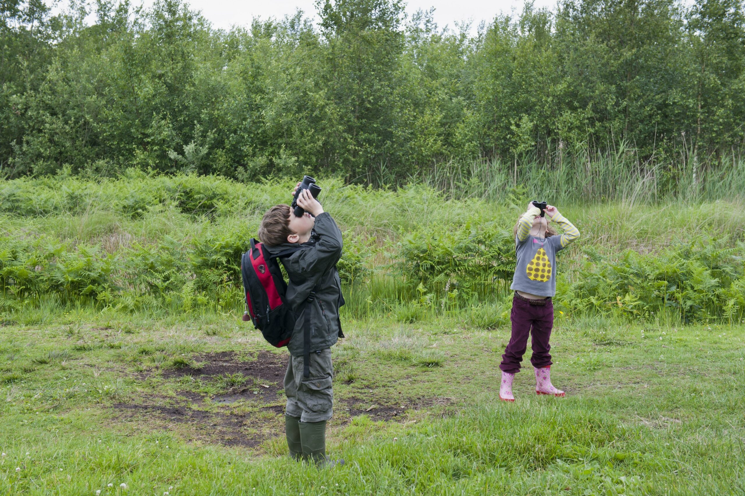 Queenswood Wildlife Watch Club October Meeting
